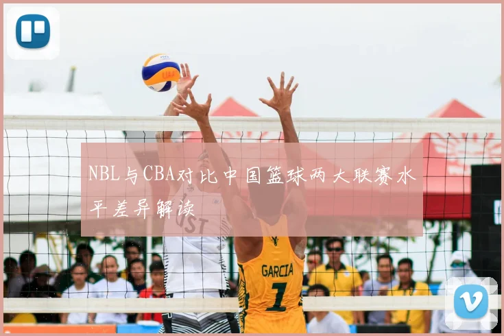 NBL与CBA对比中国篮球两大联赛水平差异解读
