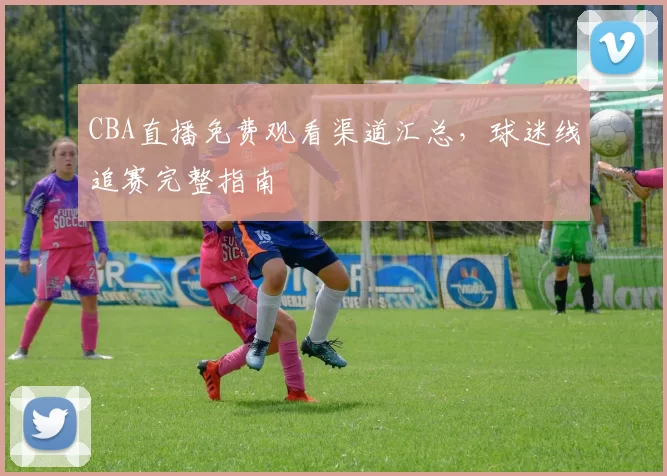 CBA直播免费观看渠道汇总,球迷线追赛完整指南