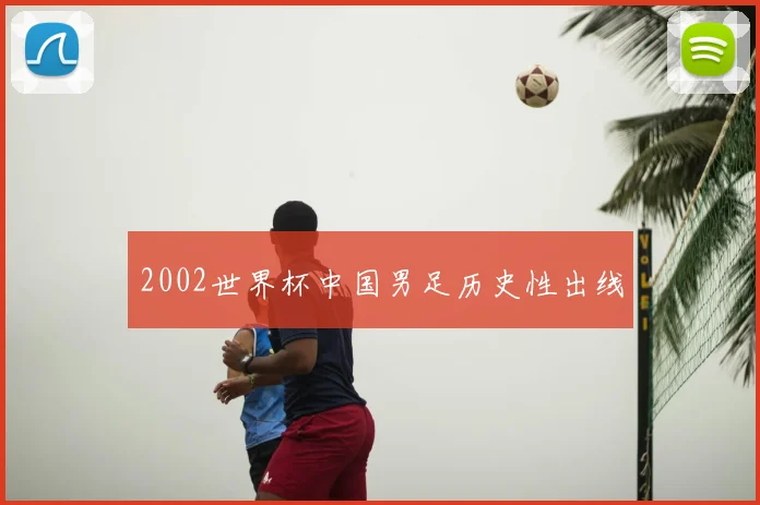 2002世界杯中国男足历史性出线