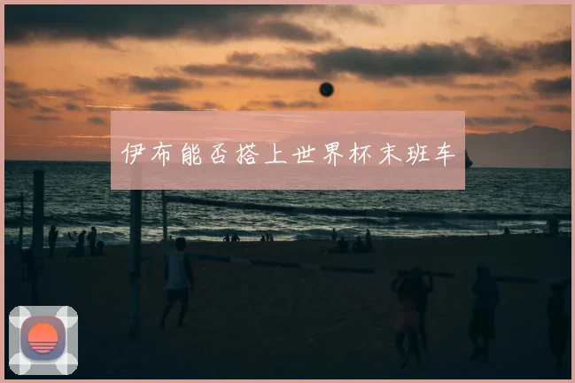 伊布能否搭上世界杯末班车