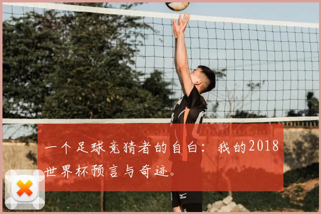 一个足球竞猜者的自白：我的2018世界杯预言与奇迹。