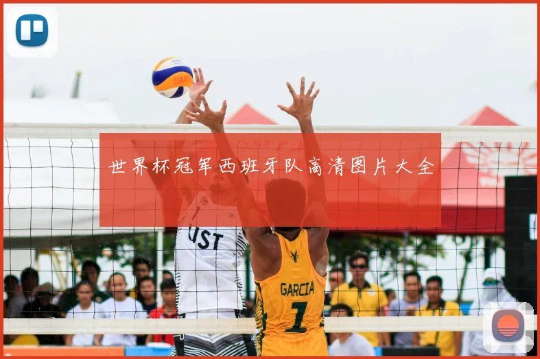 世界杯冠军西班牙队高清图片大全