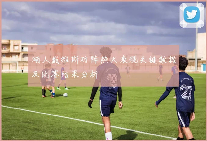 湖人戴维斯对阵热火表现关键数据及比赛结果分析