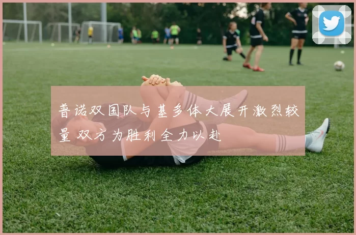 普诺双国队与基多体大展开激烈较量 双方为胜利全力以赴