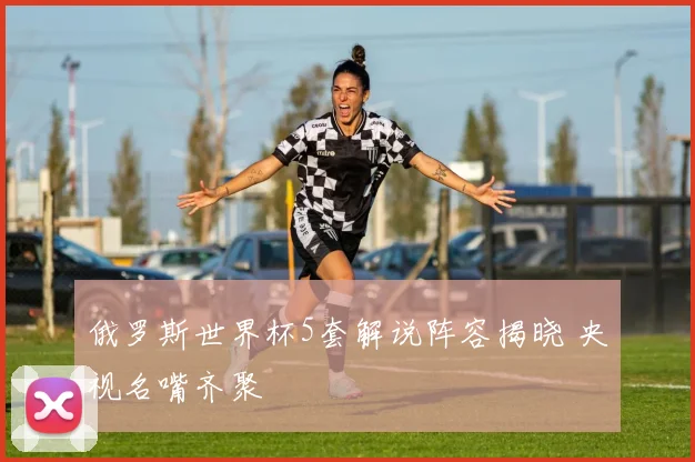 俄罗斯世界杯5套解说阵容揭晓 央视名嘴齐聚