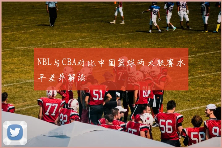NBL与CBA对比中国篮球两大联赛水平差异解读