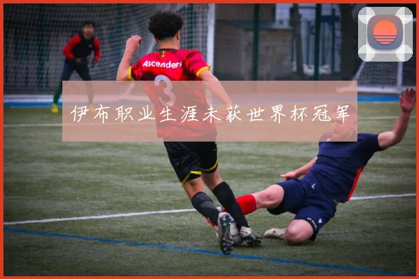 伊布职业生涯未获世界杯冠军