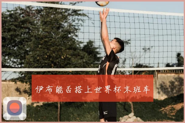 伊布能否搭上世界杯末班车
